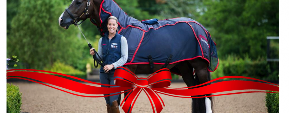 Christmas offers from Equine Therapy International