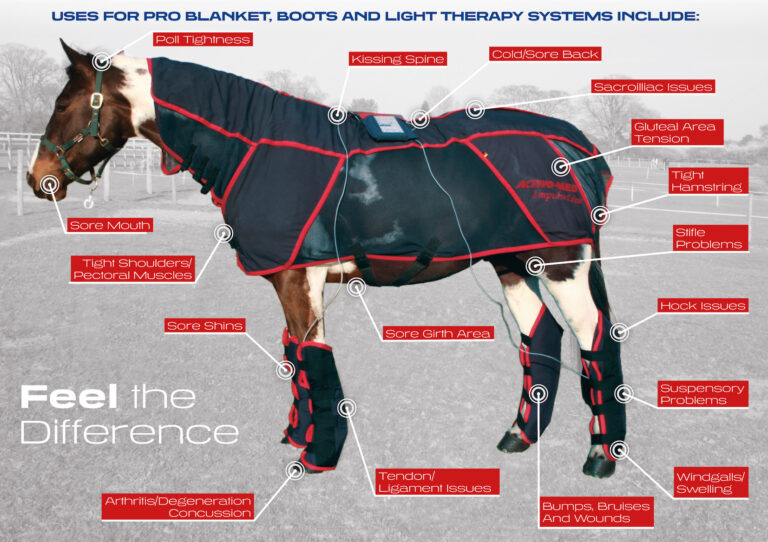 What is PEMF? Equine Therapy International