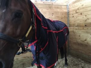 Using the Activo-Med Blanket for Recovery and Prevention after Exercise