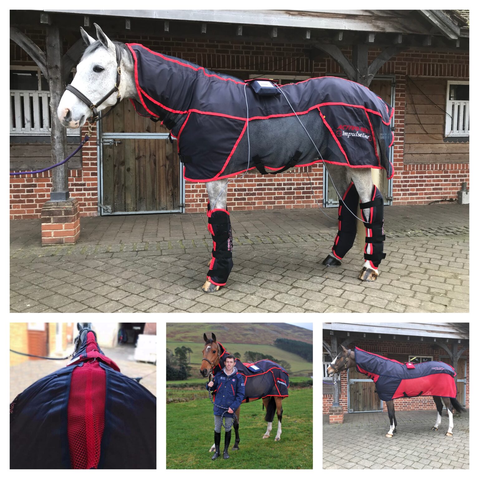 **Super Exciting Sponsorship Opportunity** Equine Therapy International