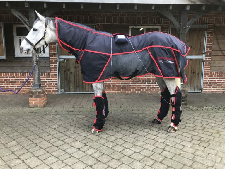 COMBI PRO I BLANKET Reconditioned (PEMF & Massage) HORSE size Equine