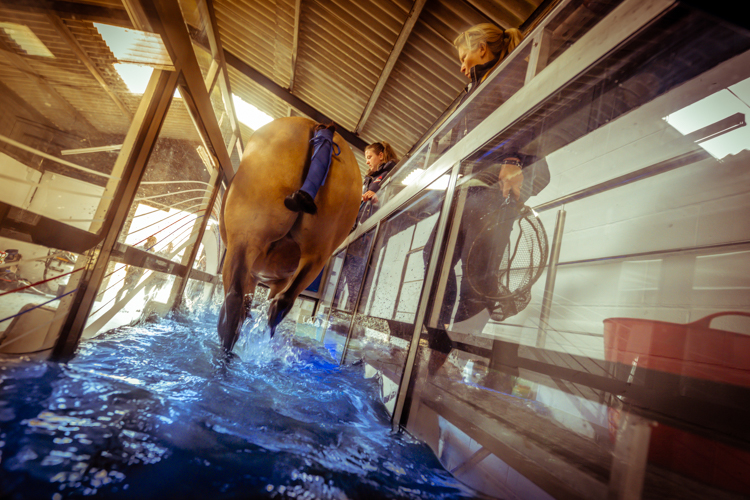 Product_WaterTreadmill