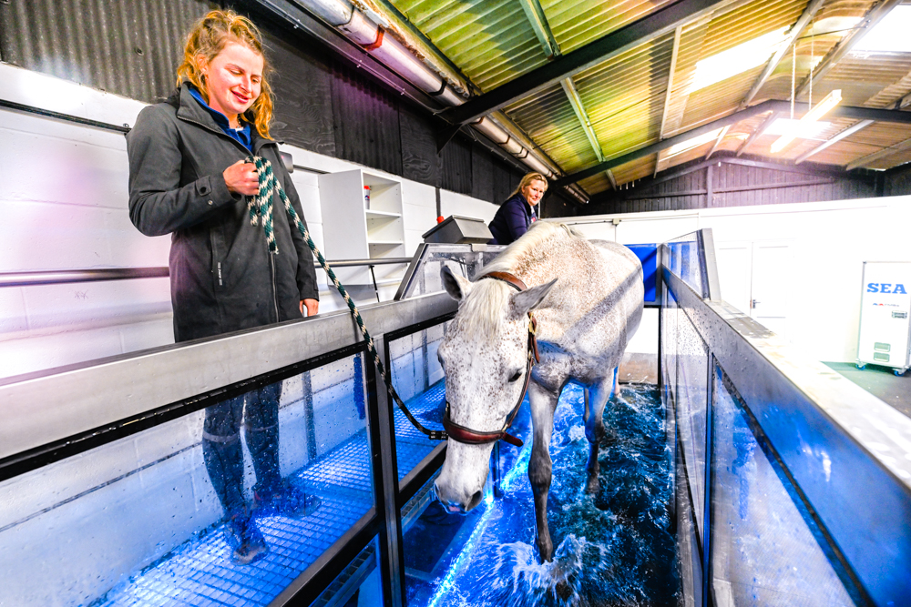 Product_WaterTreadmill