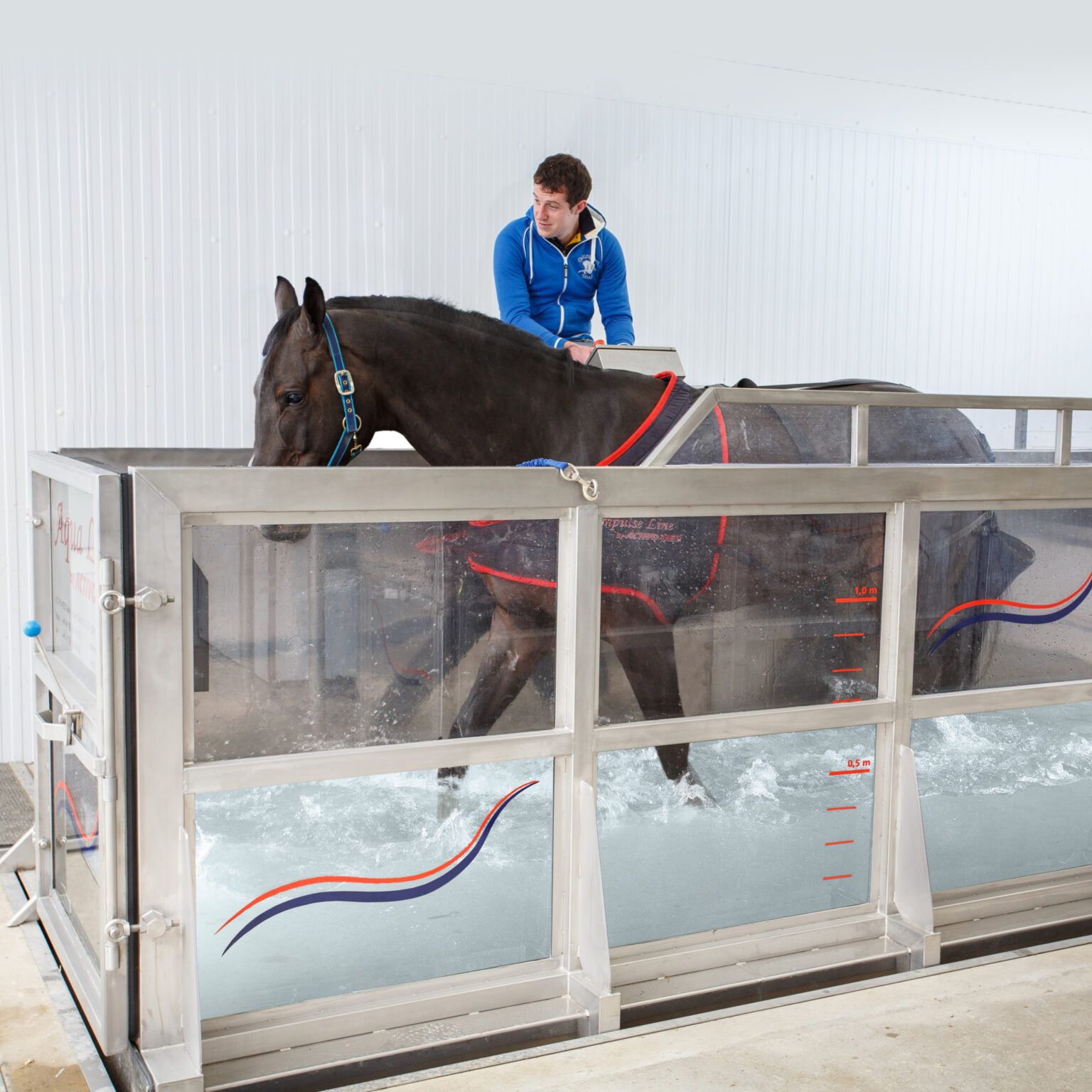 Underwater Treadmills Equine Therapy International
