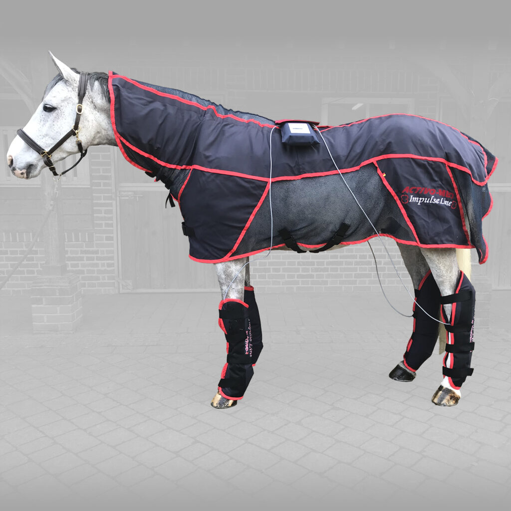 Equine Therapy International Equine Therapy International