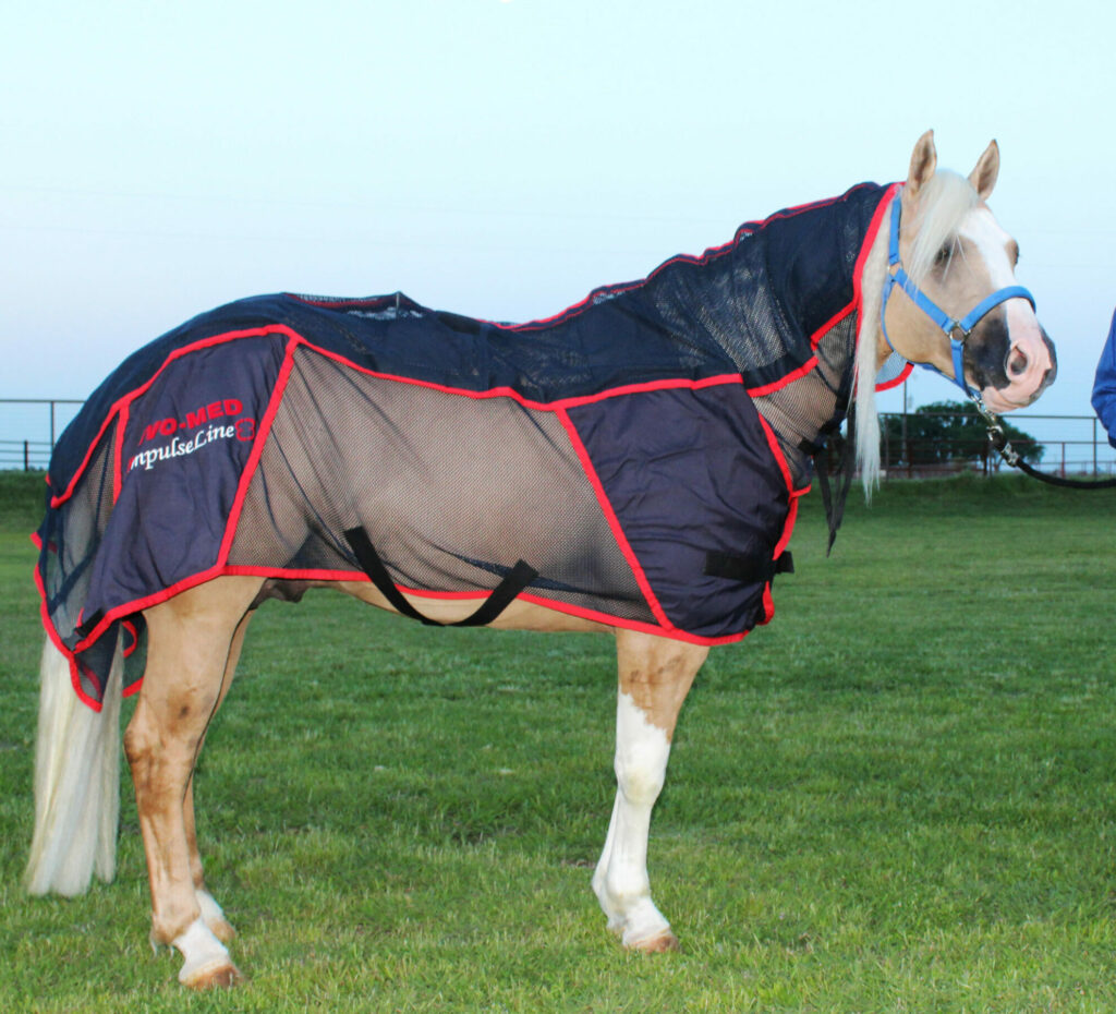 5 year old COMBI PRO I BLANKET Reconditioned (PEMF & Massage) HORSE ...